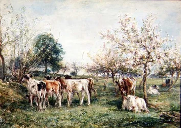 Calves in a Cherry Orchard